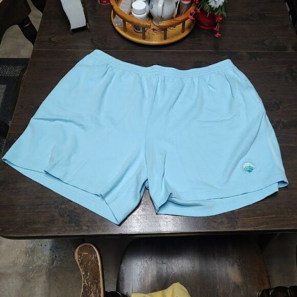Quacker Factory Light Blue With Seashell Pull On Shorts Size Women's 2X - Picture 1 of 2